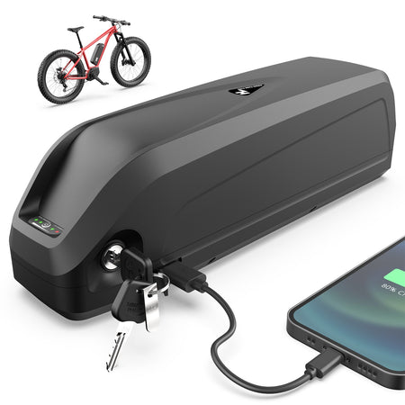 48V 20AH Ebike Battery Lithium Battery with Charger, USB Port for Electric Bike 1500w 1000w 750w 500w 250w