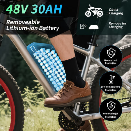 (UK Warehouse) 48V 30Ah E - bike Lithium Battery Li - ion ebike batteries pack for 48V 250w 500W 750W 1000W 1500w 2000W Bafang/Voilamart and Other Motor(W/ Charger & 50A Smart BMS Board With GPS) - Fengli Power Tech Ltd