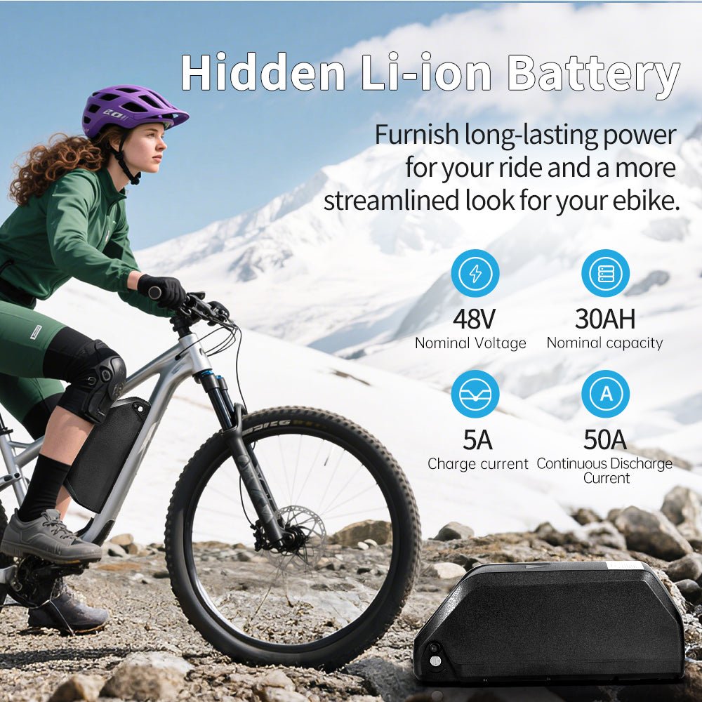 (UK Warehouse) 48V 30Ah E - bike Lithium Battery Li - ion ebike batteries pack for 48V 250w 500W 750W 1000W 1500w 2000W Bafang/Voilamart and Other Motor(W/ Charger & 50A Smart BMS Board With GPS) - Fengli Power Tech Ltd