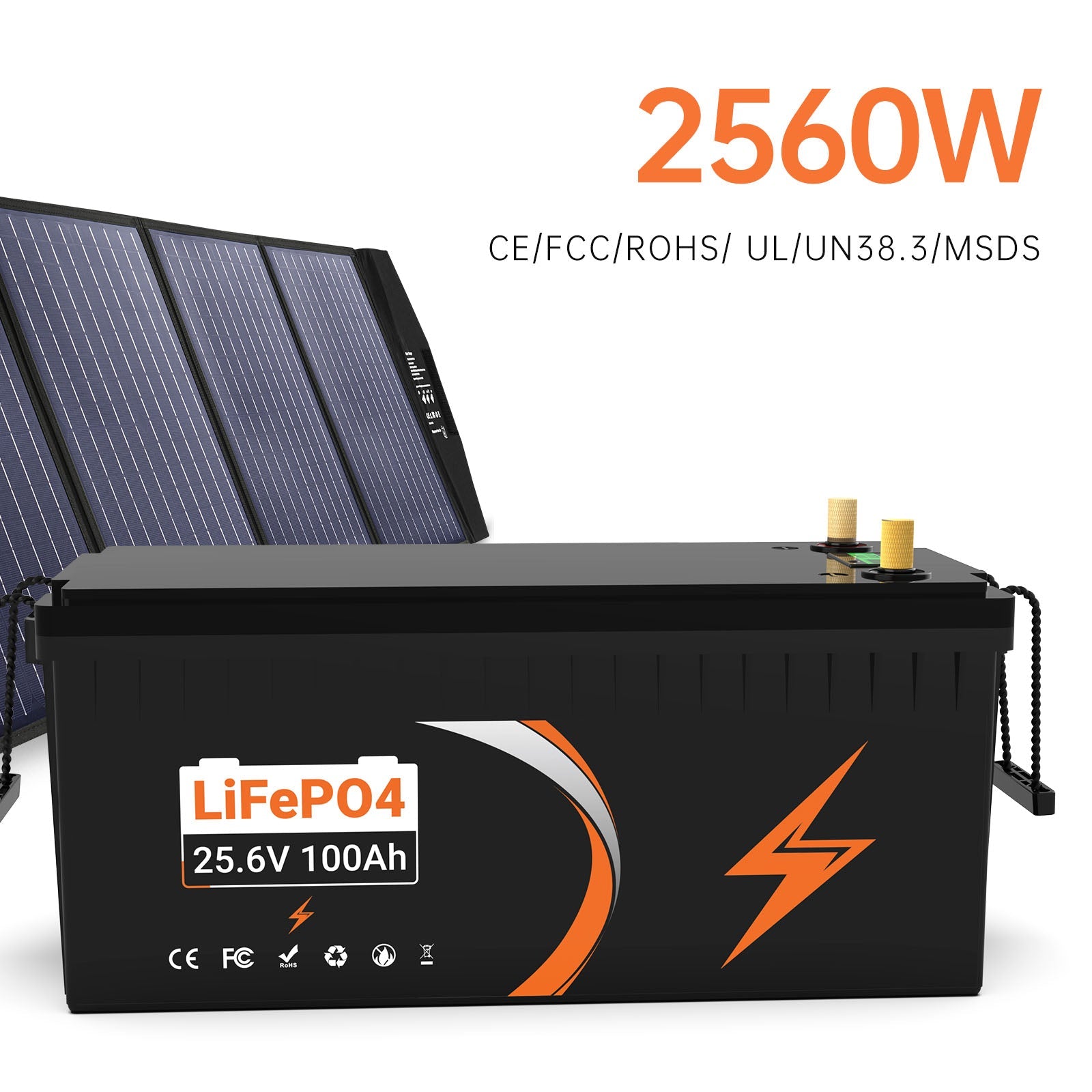 (US Warehouse) High efficiency, long lifespan, portable 12V/24V 100AH LiFePO4 Battery Rechargeable 4000 Deep Cycle For Solar Panel RV Marine Home Energy Built - in 100A BMS - Fengli Power Tech Ltd